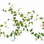 Image result for Poison Ivy Vine Clip Art