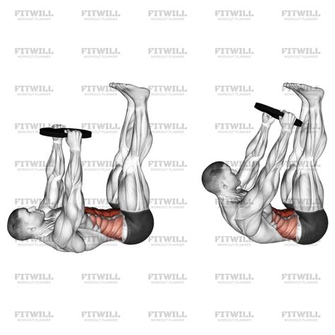 Image result for Toe Touch Crunch Exercise