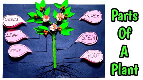 Image result for Science Class 9