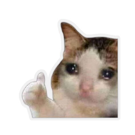 Sad Cat Thumbs up Meme Sticker - Etsy