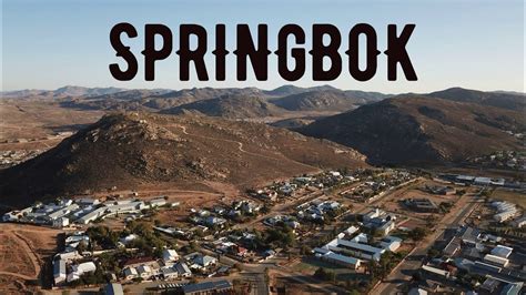 Image result for Springbok No. 1