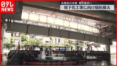 Image result for Reticulated Python Handling