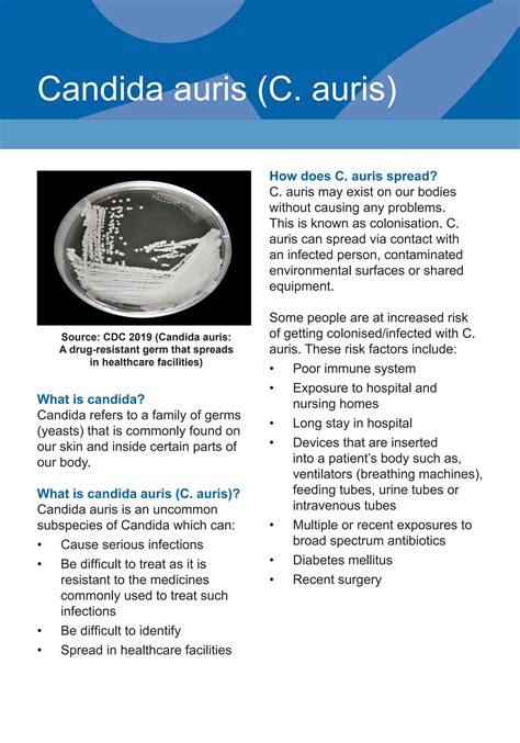 Candida Auris by Yishun Health - Issuu