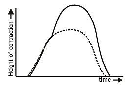 Cardiac Muscle Tissue - Additional Study Material for NEET PDF Download