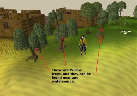Willow Tree Location Osrs at Samantha Hanlon blog