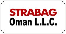 Vitro International