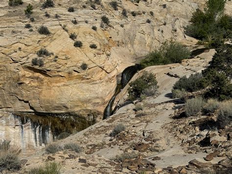Upper Calf Creek Falls | Escalante - Utah's Adventure Family
