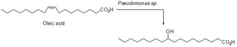 Scheme 14