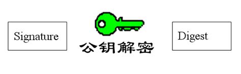 数字签名下载-数字签名工具专业版下载(签名工具)-华军软件园