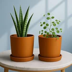 The Handicraftian Exclusive Terracotta Modern Autumn Planter Medium 6 ...