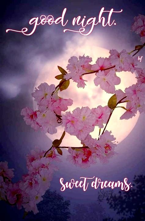 Good Night Sweet Dreams