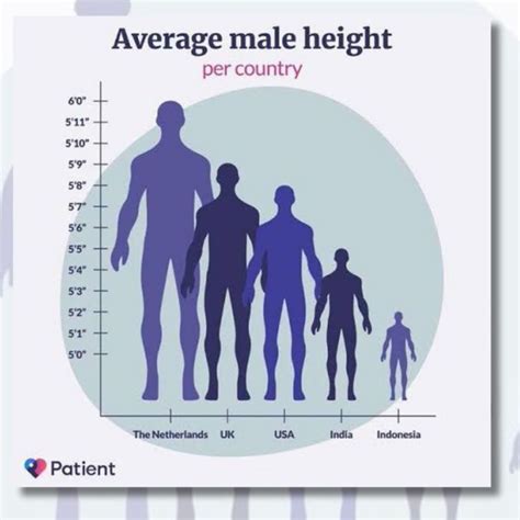 Perfect Male Height