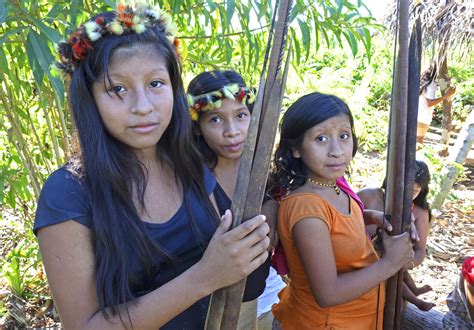 View of 'man as hunter, woman as gatherer' upended by new study : Goats ...