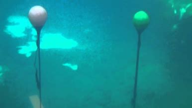 Image result for DBSCAN Image Segmentation Python