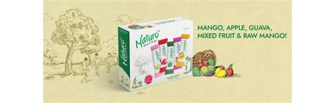 Naturo Fruit Bar - Mango And Assorted Hangers - 7Gm X 40 Nos One Each ...