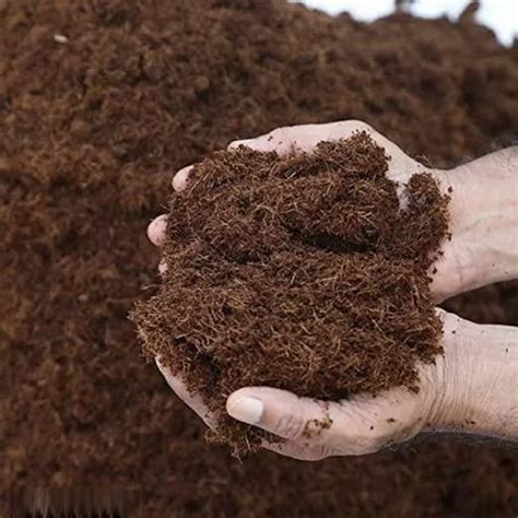 Cocopeat Powder - Cocopeat Compost Powder Manufacturer from Indore