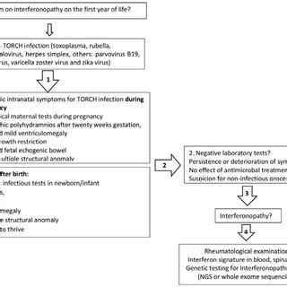Medical Algorithm Examples 的图像结果