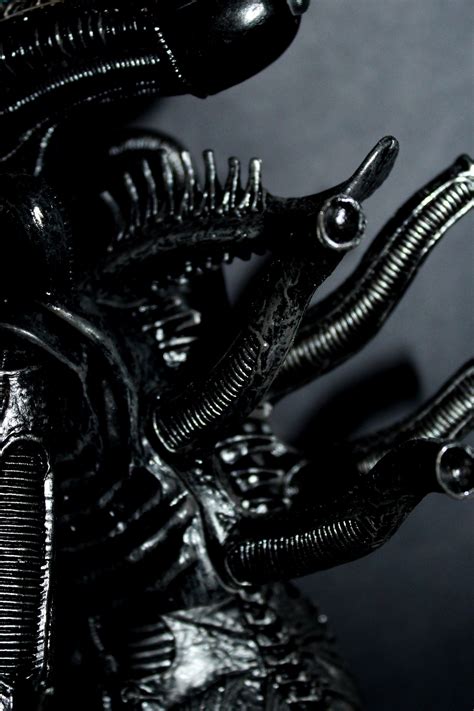 Image result for Alien Battle Macfaren