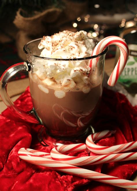 Peppermint Schnapps Hot Chocolate - addicted to recipes