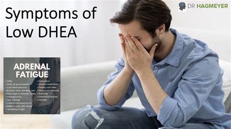 Low Dhea Female Hair Loss at David Sells blog