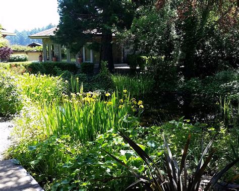 THE 10 BEST Places to Visit in Galiano Island (2025)