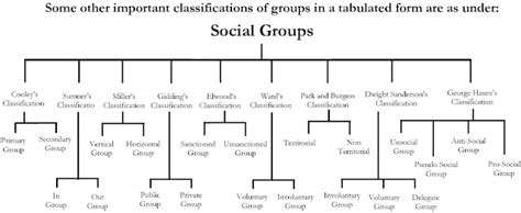 Social Groups