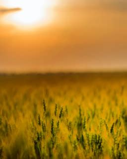 Free Manipulation Backgrounds || Free Village Side HD backgrounds ...