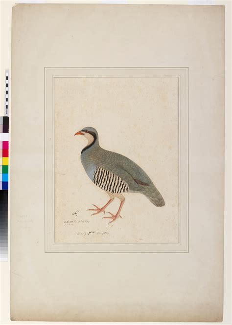 London: This show brings back the gems created for East India Company ...