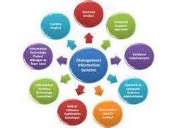 Computer and Information Systems Managers 的图像结果