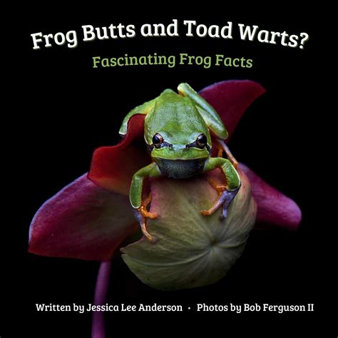 Frog Butts and Toad Warts?: Fascinating Frog Facts: Anderson, Jessica ...