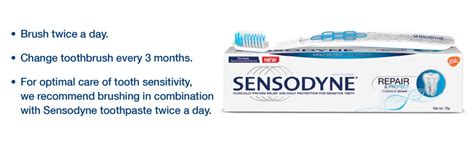 Buy Sensodyne Toothbrushes - Expert, (2+1) Pieces Carton Online at Low ...