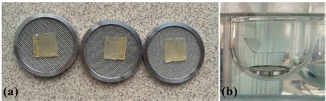 Mucoadhesive Gelatin Buccal Films with Propranolol Hydrochloride ...