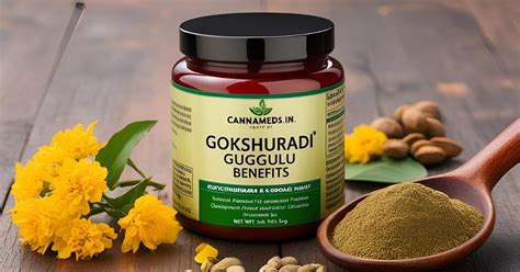 Gokshuradi Guggulu Benefits: A Powerful Ayurvedic Remedy For Wellness ...