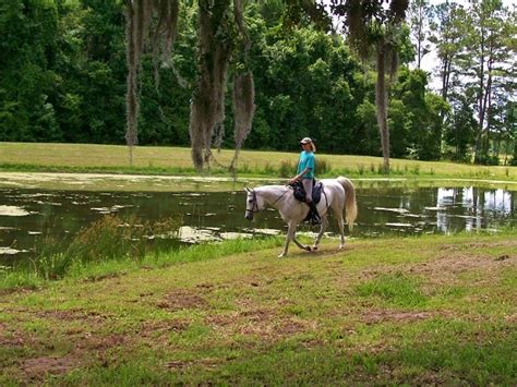 R.O. RANCH EQUESTRIAN PARK (2025) All You Need to Know BEFORE You Go ...