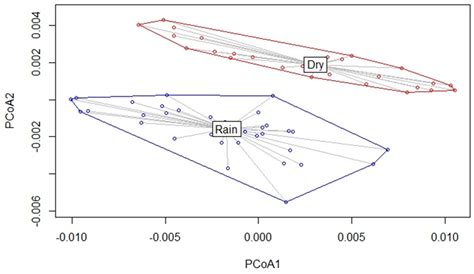 The Rumen Microbiome Composition of Raramuri Criollo and European ...