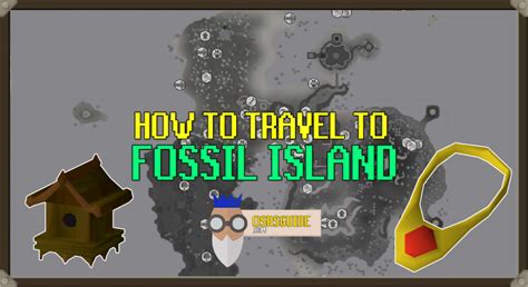 Image result for OSRS Fossils Guide
