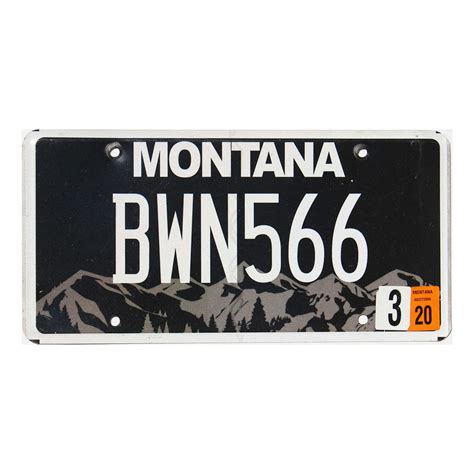 2020 Montana Bird Of Pray License Plate #BWN566 | Wildlife