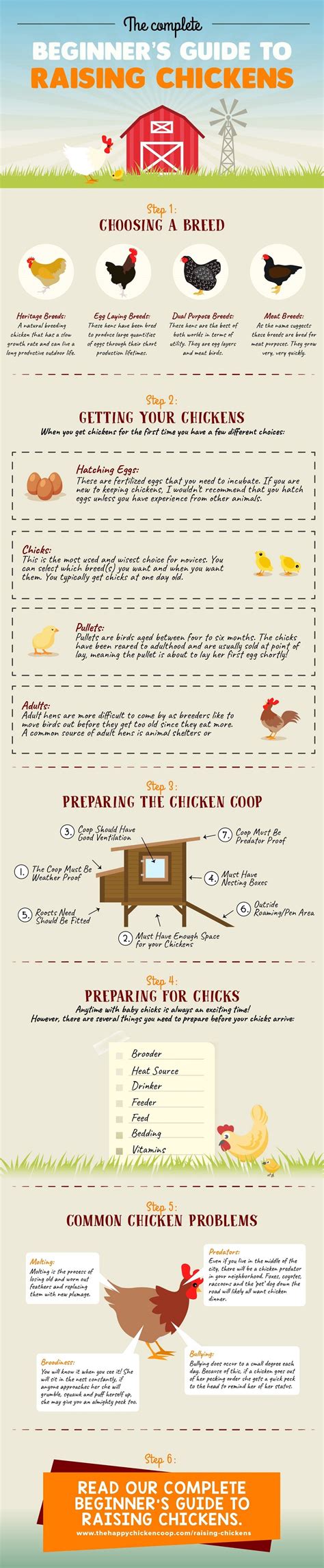 Beginner’s Guide to Raising Backyard Chickens