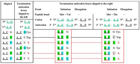 Self-Referential Encoding on Modules of Anticodon Pairs—Roots of the ...