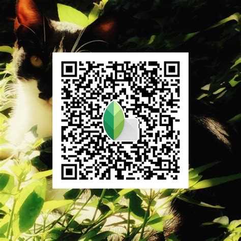 Image result for Snapseed Editing Tricks