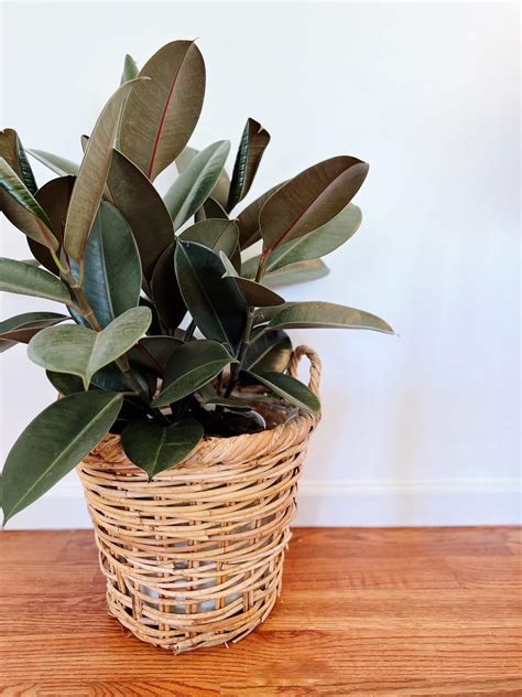 Image result for Repurposed Home Decor