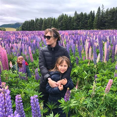Seeing Lupin Flowers at Lake Tekapo in New Zealand Is a Must