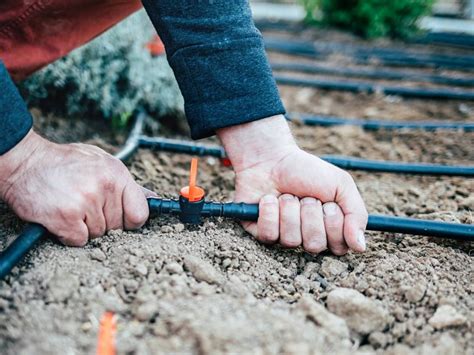 Installing Drip Irrigation Lines Installing And Maintaining A Drip