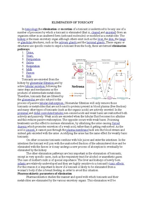 Elimination of toxicant - ELIMINATION OF TOXICANT In toxicology the ...