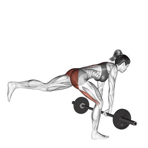 5 Best Barbell Hamstring Exercises (with Pictures!) - Inspire US