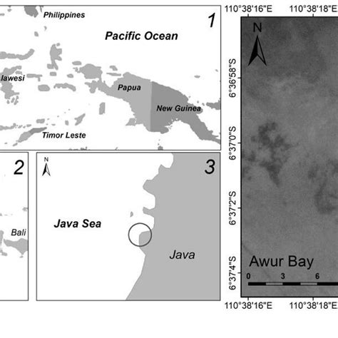 Image result for Java Sea On Map Border