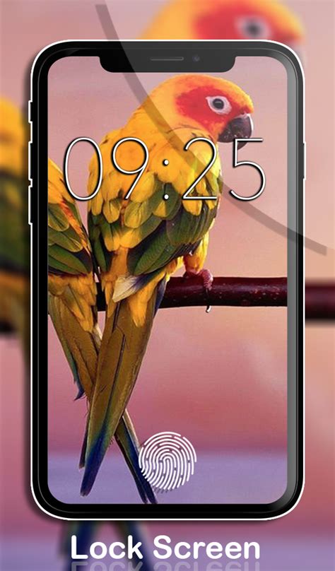 Birds Wallpapers HD & Backgrounds app | No Ads | Lock & Home Screen ...