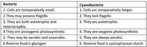 Kingdom Monera: Archaebacteria & Eubacteria - Notes | Study Biology ...