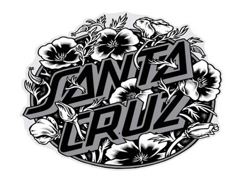 Santa Cruz Wallpapers - Top Free Santa Cruz Backgrounds - WallpaperAccess