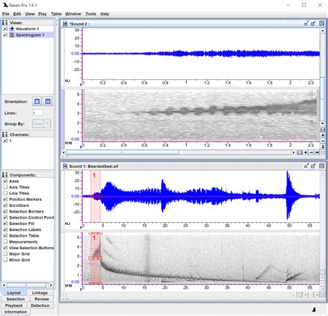 Image result for Copy and Paste Audio Software